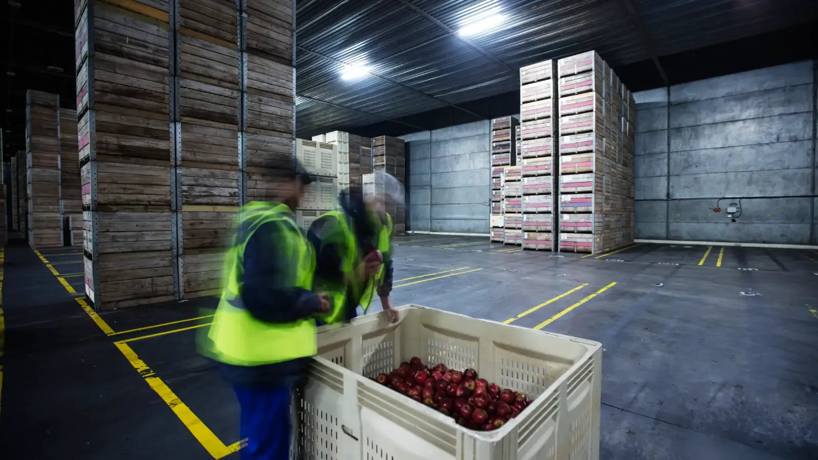 Shipping perishable goods